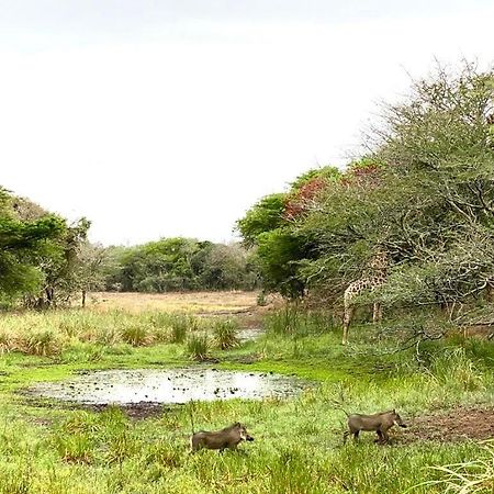 Hideaways Lazuli Bush Lodge, Hluhluwe Luaran gambar
