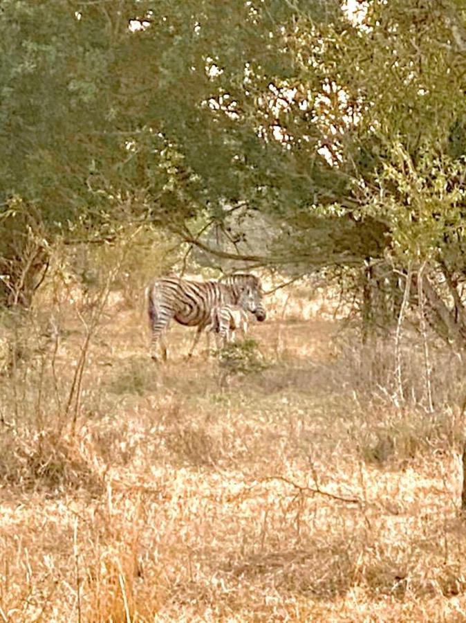 Hideaways Lazuli Bush Lodge, Hluhluwe Luaran gambar