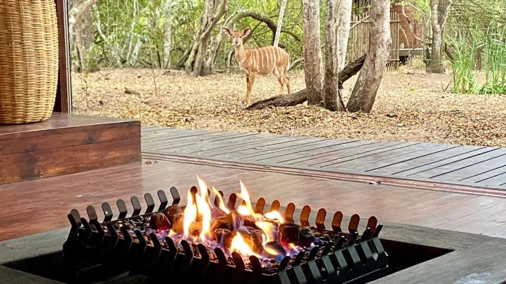 Hideaways Lazuli Bush Lodge, Hluhluwe Luaran gambar