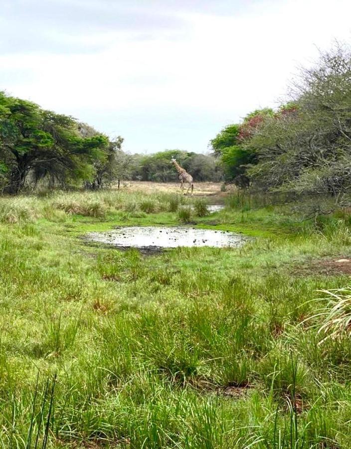 Hideaways Lazuli Bush Lodge, Hluhluwe Luaran gambar