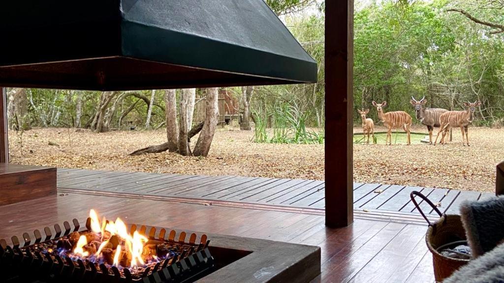 Hideaways Lazuli Bush Lodge, Hluhluwe Luaran gambar